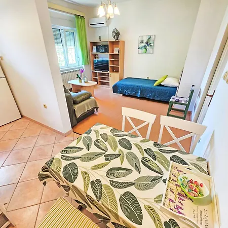 Fuer 4 Personen- 100m Vom Entfernt By Interhome Апартаменты Цриквеница